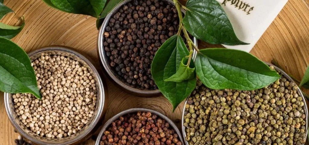 nguồn dữ liệu giá tiêu