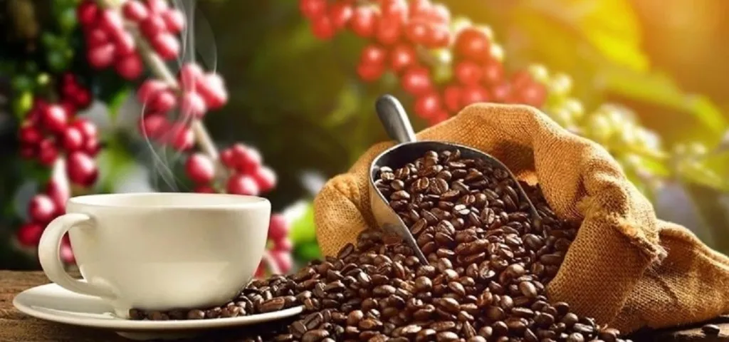 trang giá cà phê hôm nay