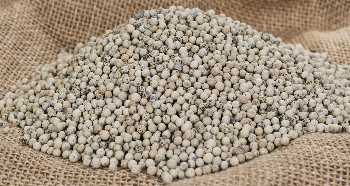 cách chế biến hạt tiêu trắng