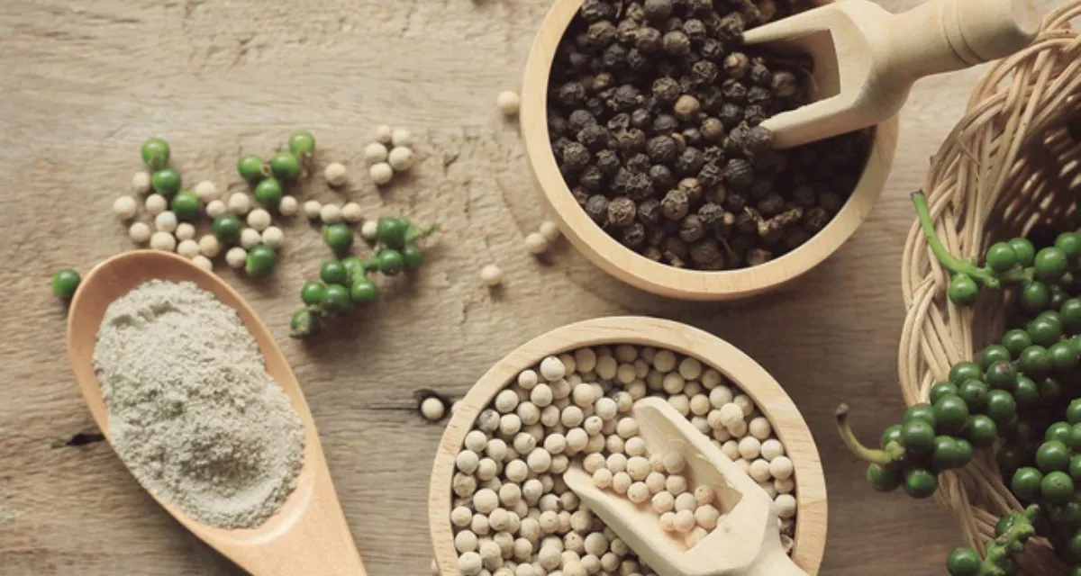 So sánh hạt tiêu khô đen, trắng và xanh – đặc điểm và giá