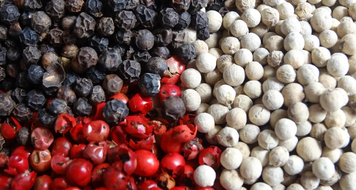 So sánh hồ tiêu Phú Quốc - Tiêu đen. đỏ, trắng