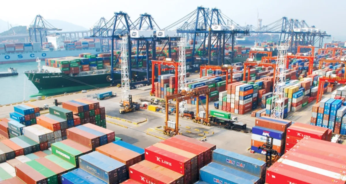 xuất khẩu hồ tiêu Bà Rịa Vũng Tàu ảnh hưởng giá tiêu hôm nay