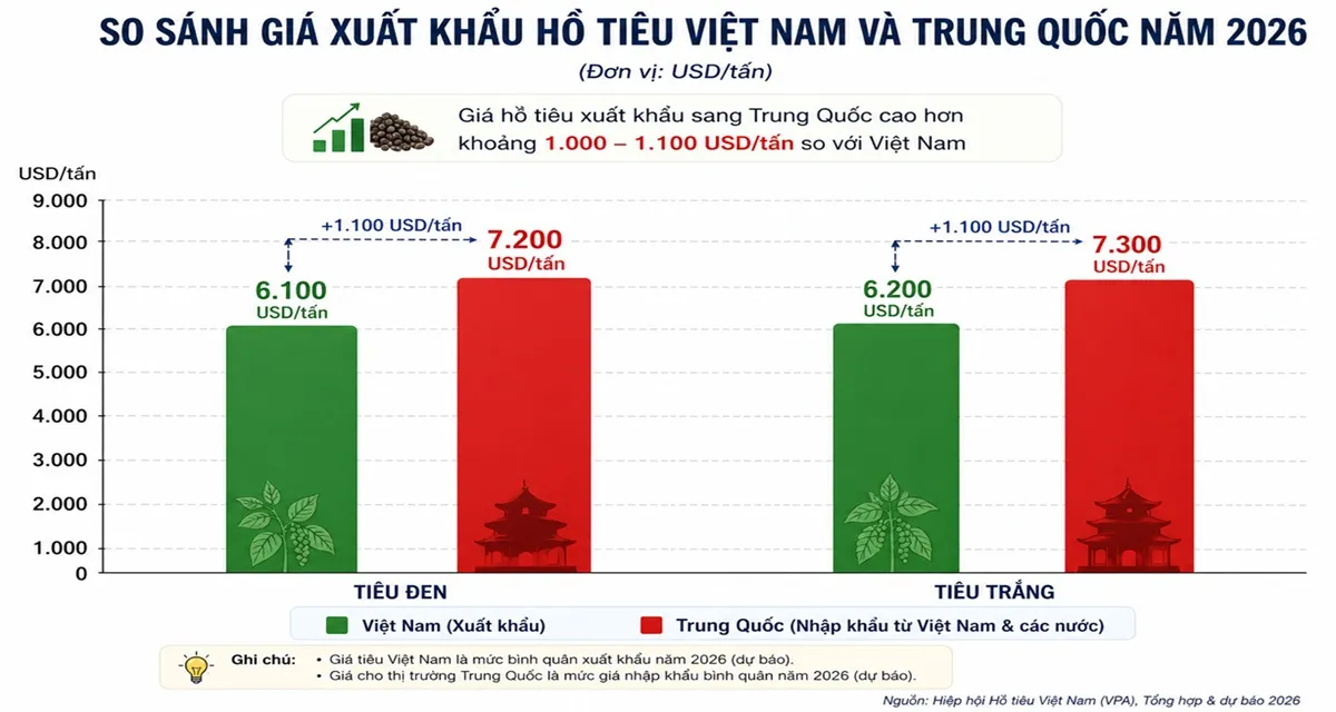 Biểu đồ so sánh giá hồ tiêu Việt Nam và Trung Quốc