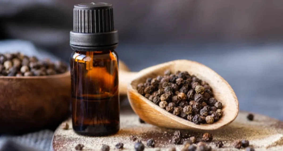 Hoạt chất piperine trong  tinh dầu hồ tiêu
