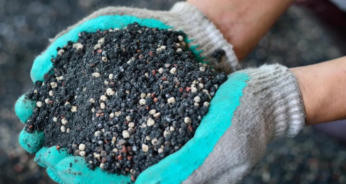 phân lân bón cho hồ tiêu