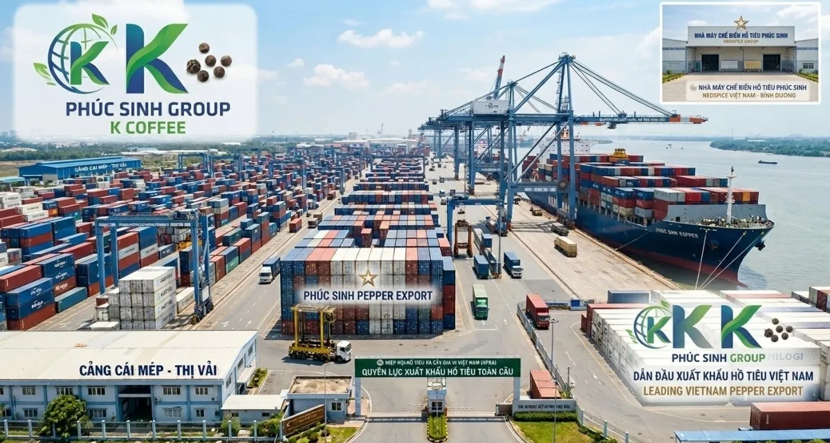Container hồ tiêu Việt Nam xuất khẩu đi các nước